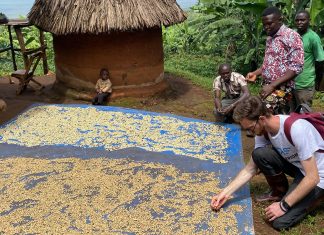 Washed, Natural, Honey: Was die Aufbereitung mit dem Geschmack macht Da die Bohne während der gesamten Trocknungszeit vom zuckerhaltigen Fruchtfleisch umgeben ist, nimmt sie intensive Frucht- und Fermentationsnoten auf. Foto: Friedrich