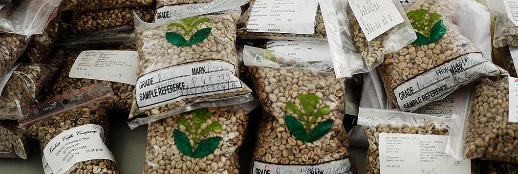 Rohkaffeeproben im Labor
