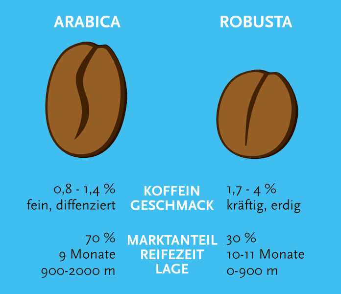 unterschiede von arabica und robusta