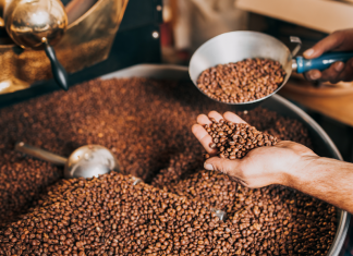 Beruf Kaffeeröster bei der Röstung von Kaffee