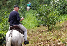 kaffeeroester stefan bracht auf pferd