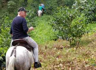 kaffeeroester stefan bracht auf pferd