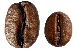 Arabica_Robusta_geroestet_01
