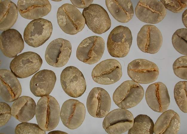 Brasilien_Santos_NY2_roh