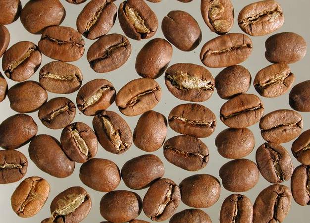 DomRep_San_Domingo_geroestet