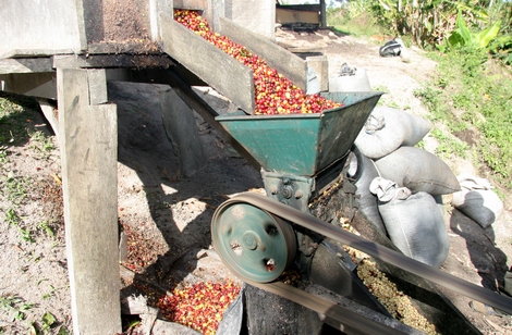 Entpulpen_KAZ-TU125_470x308