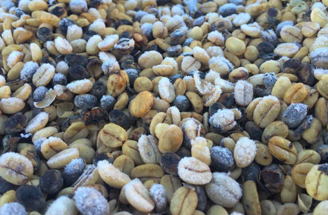 Frost2_spilling-the-beans