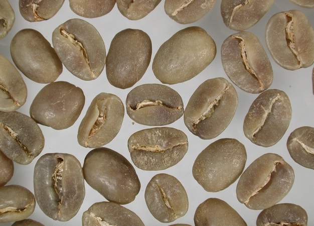 Guatemala_SHB_Extra_Fancy_roh