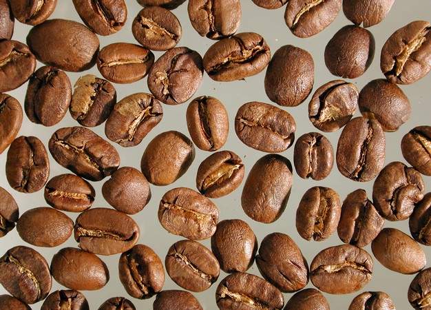 Honduras_SHG_geroestet