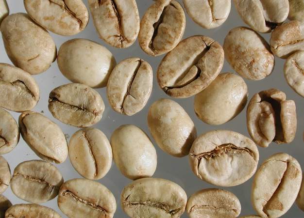 Indien_Malabar_Monsooned_roh