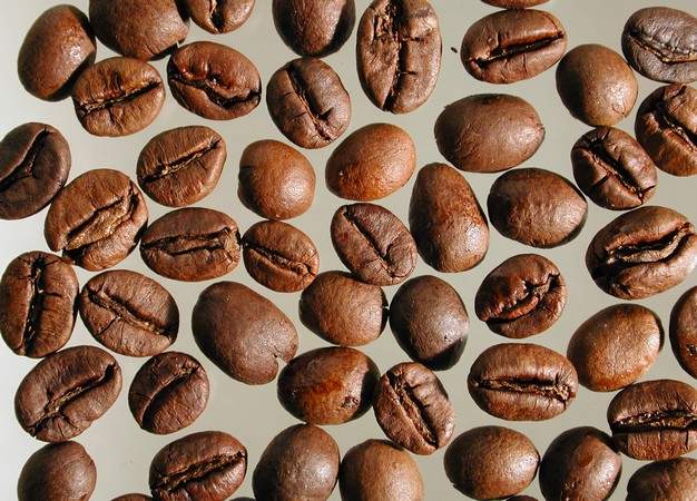 Indonesien_Jawa_Robusta_WP_1_geroestet