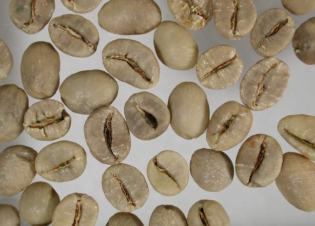 Indonesien_Jawa_Robusta_WP_1_roh