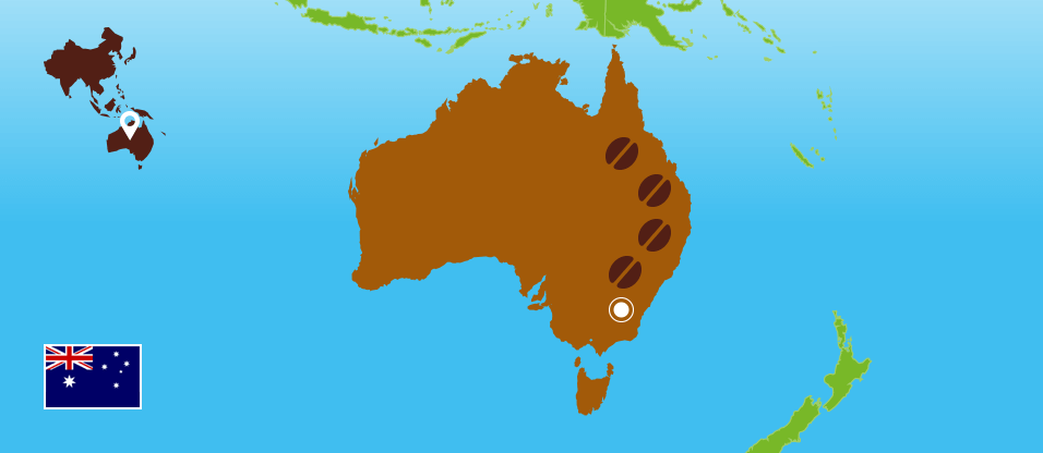 Kaffeezentrale_Kaffeeanbau_Australien_RZ