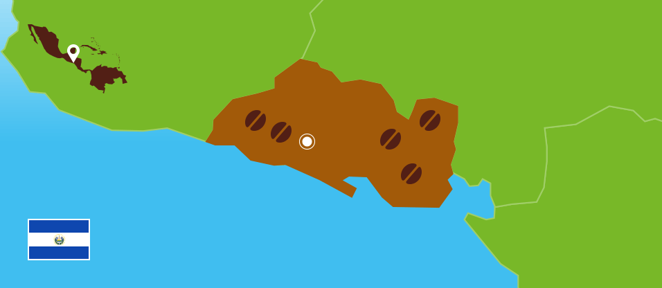 Kaffeezentrale_Kaffeeanbau_El-Salvador_RZ