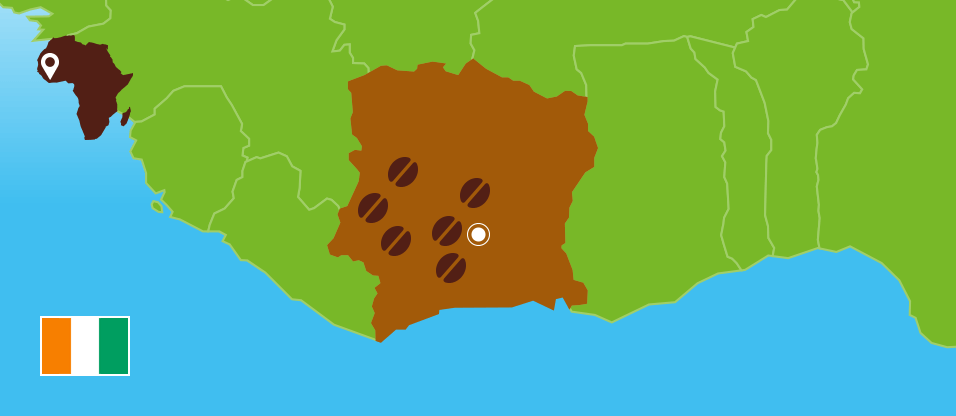 Kaffeezentrale_Kaffeeanbau_Elfenbeinkueste_RZ