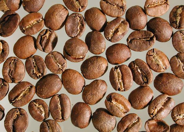 Kenia_AA_faq_geroestet_01