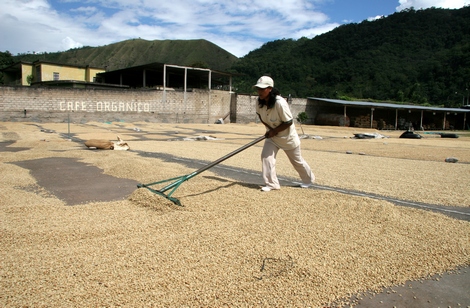 Trocknung-gewaschen_Tina-Umlauf-133_470x308