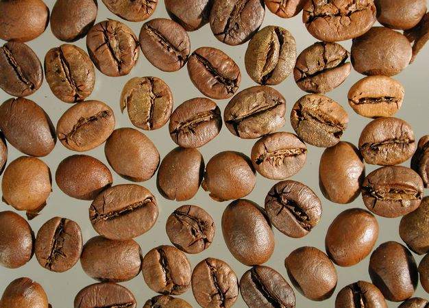 Uganda_Robusta_geroestet