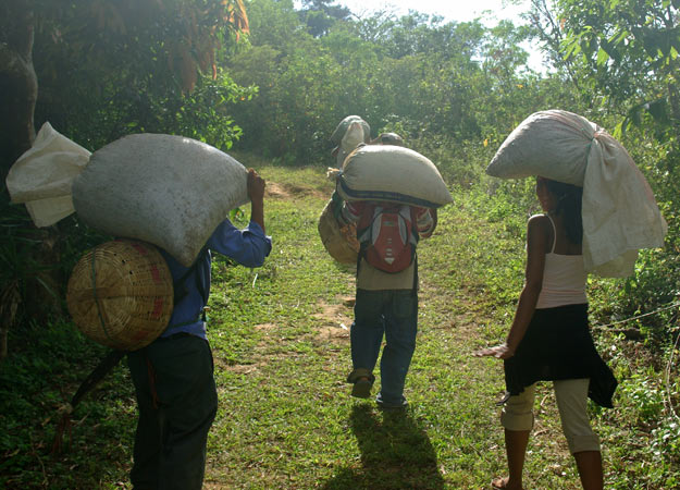 el-salvador-fairtradecoffee